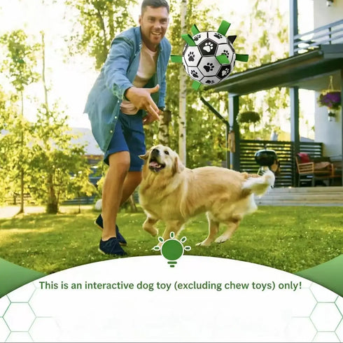 PawsFable™ Match Day Interactive Dog Soccer Ball with Grab Tabs