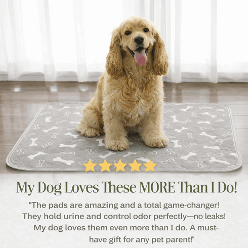 PawsFable™ Washable Leak Guard Pee Pad