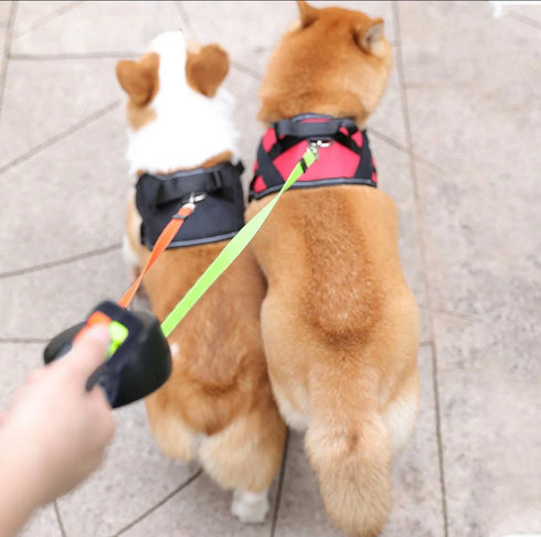 Dog Duo leash up to 28 lbs per
