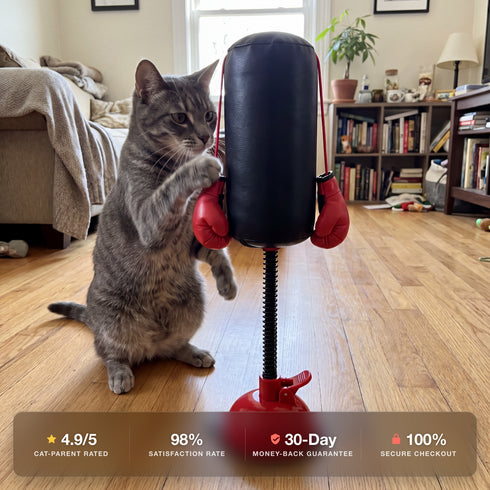 PawsFable™ Meow Punch