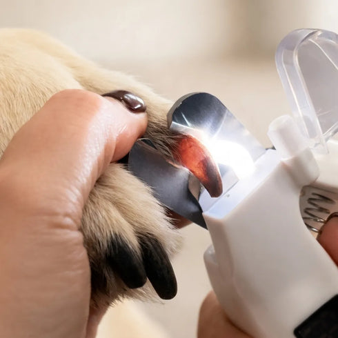 2-in-1 Pet Nail Trimmer & Grinder with LED Light