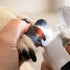 2-in-1 Pet Nail Trimmer & Grinder with LED Light